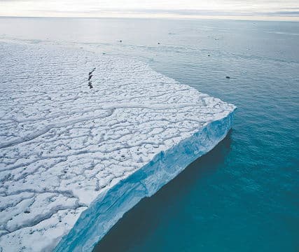Seabirds, Marine Life & Coastal Ecosystems